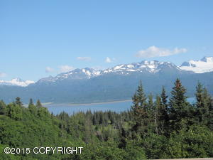 33610 Patsys Rd, Homer, AK 99603 photo 13