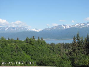 33610 Patsys Rd, Homer, AK 99603 photo 30
