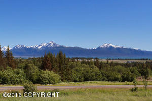 1750 End Rd, Homer, AK 99603 photo 21