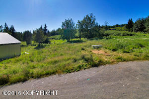 1750 End Rd, Homer, AK 99603 photo 50