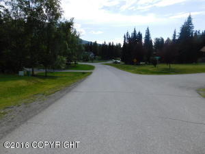 10207 Stewart Dr, Eagle River, AK 99577 photo 28