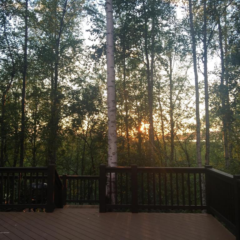 27339 Golden Eagle Ct, Chugiak, AK 99567 photo 44