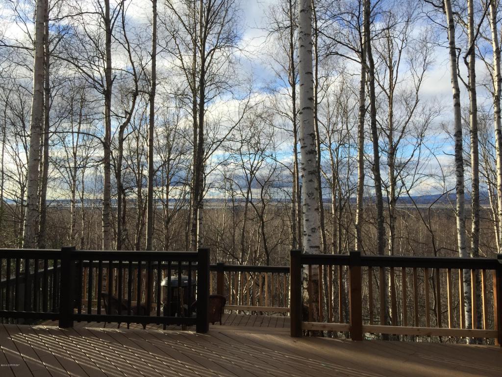 27339 Golden Eagle Ct, Chugiak, AK 99567 photo 45