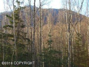 9194 Eagle River Ln, Eagle River, AK 99577 photo 4