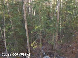 9194 Eagle River Ln, Eagle River, AK 99577 photo 6