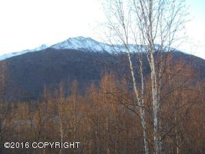 9194 Eagle River Ln, Eagle River, AK 99577 photo 43