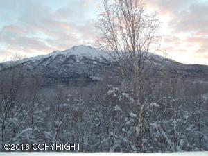 9194 Eagle River Ln, Eagle River, AK 99577 photo 16