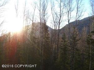 9194 Eagle River Ln, Eagle River, AK 99577 photo 5