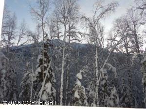 9194 Eagle River Ln, Eagle River, AK 99577 photo 38