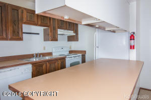 1623 Russian Jack Dr # E2, Anchorage, AK 99508 photo 4
