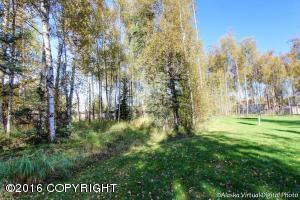 22422 Sambar Loop, Chugiak, AK 99567 photo 45
