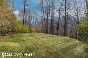 21738 Price Dr, Eagle River, AK 99577 photo 48