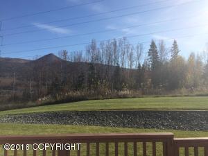 16701 Theodore Dr, Eagle River, AK 99577 photo 13