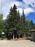 5668 Abbott Rd, Anchorage, AK 99507 photo 49