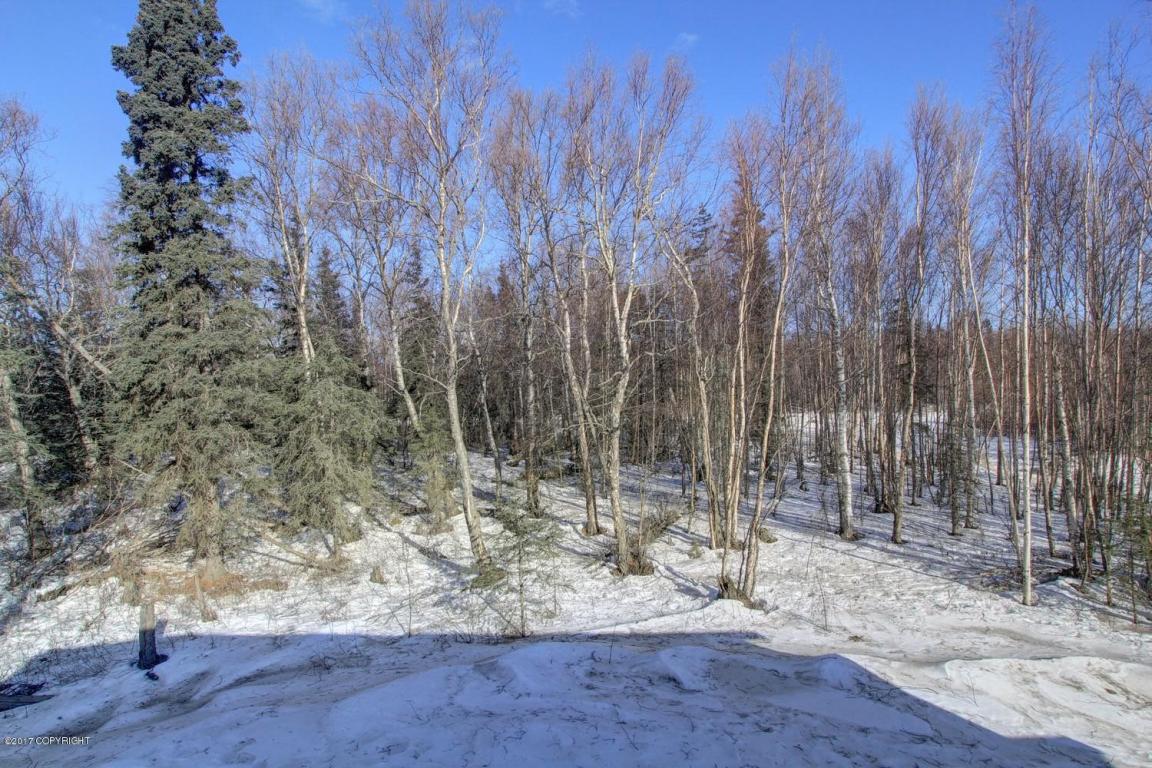 1363 E Hidden Ranch Loop, Palmer, AK 99645 photo 33