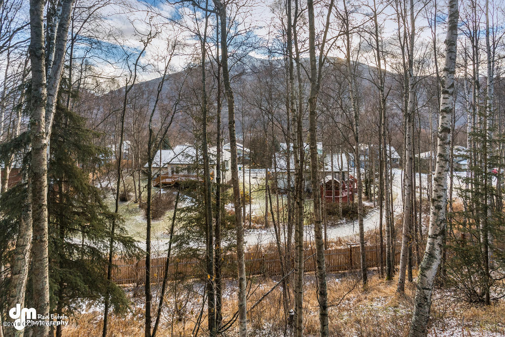 19600 Wingham Cir, Eagle River, AK 99577 photo 27