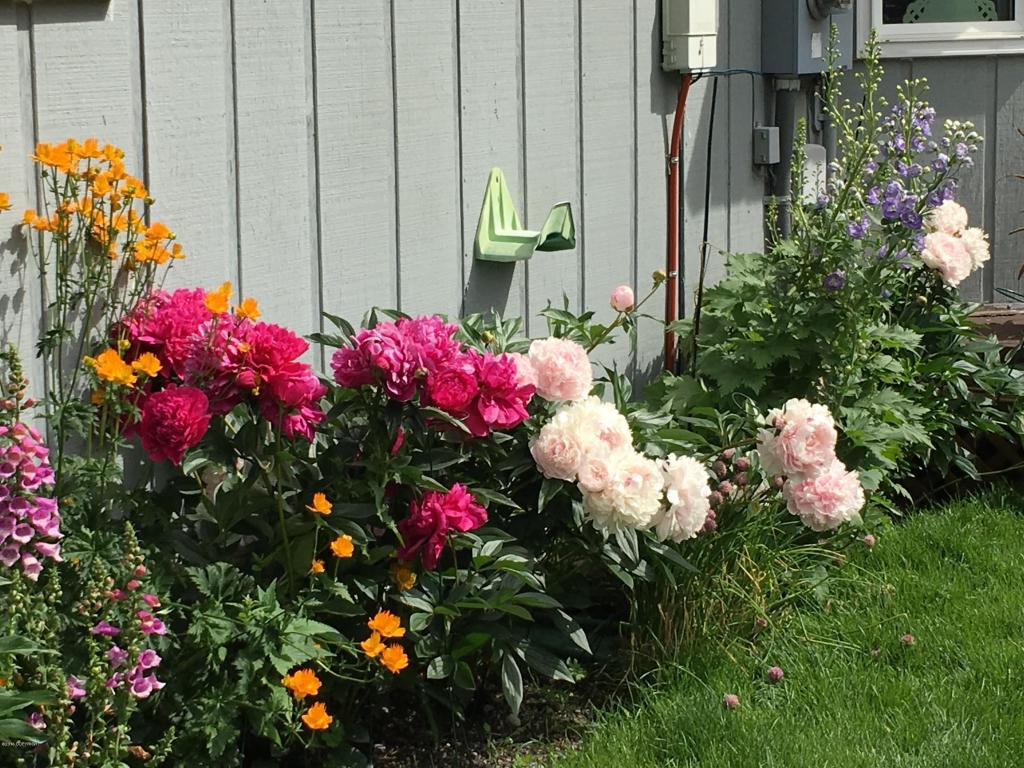 3536 E 66th Ave, Anchorage, AK 99507 photo 27