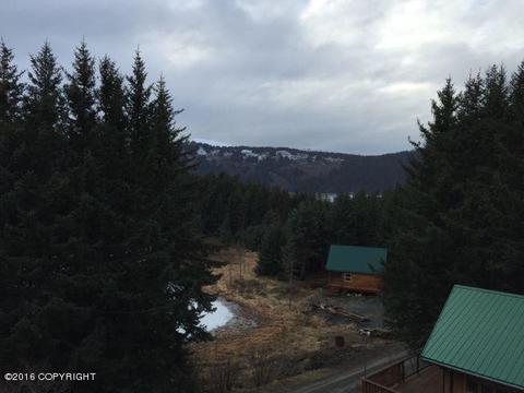 318 Eagle Run Loop, Seldovia, AK 99663 photo 35