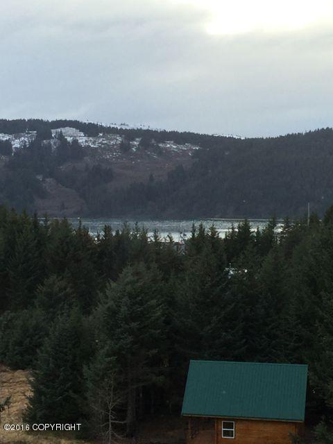 318 Eagle Run Loop, Seldovia, AK 99663 photo 60