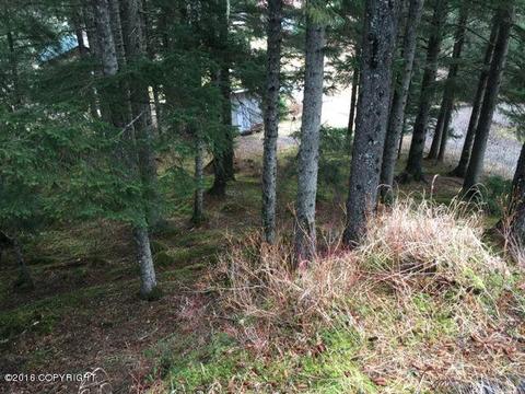318 Eagle Run Loop, Seldovia, AK 99663 photo 14