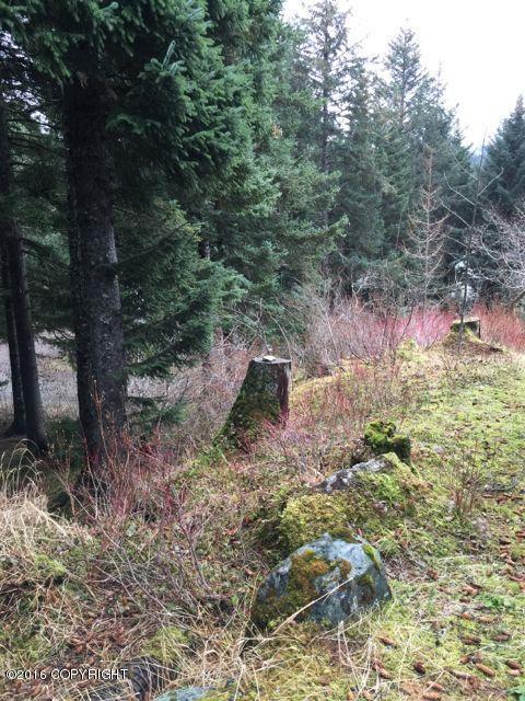 318 Eagle Run Loop, Seldovia, AK 99663 photo 15
