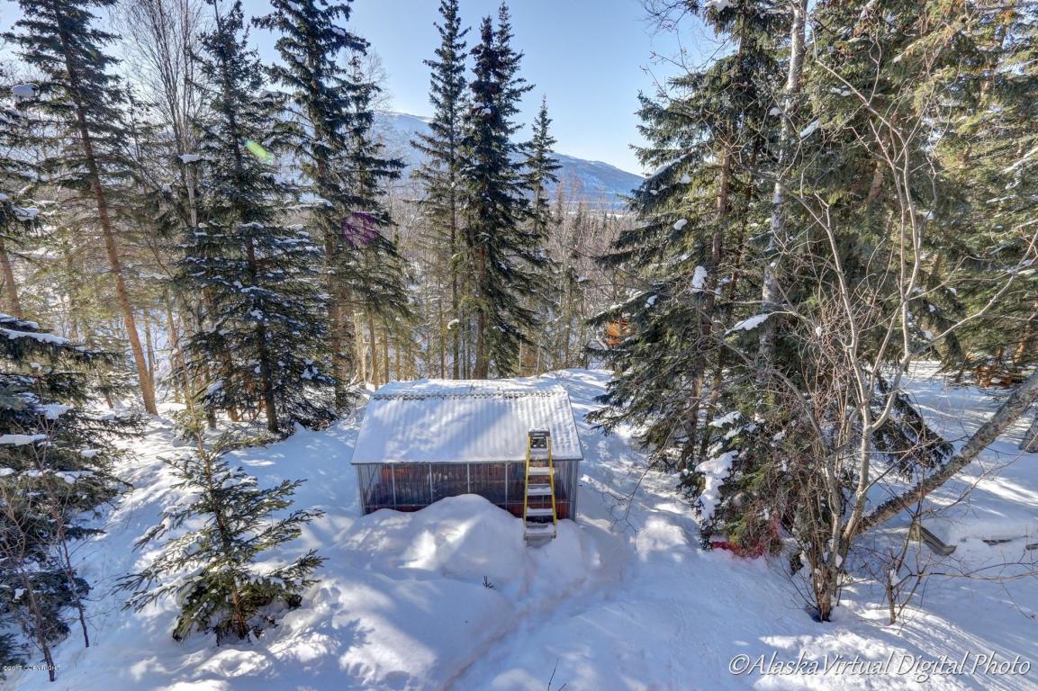 18888 Jamie Dr, Eagle River, AK 99577 photo 9