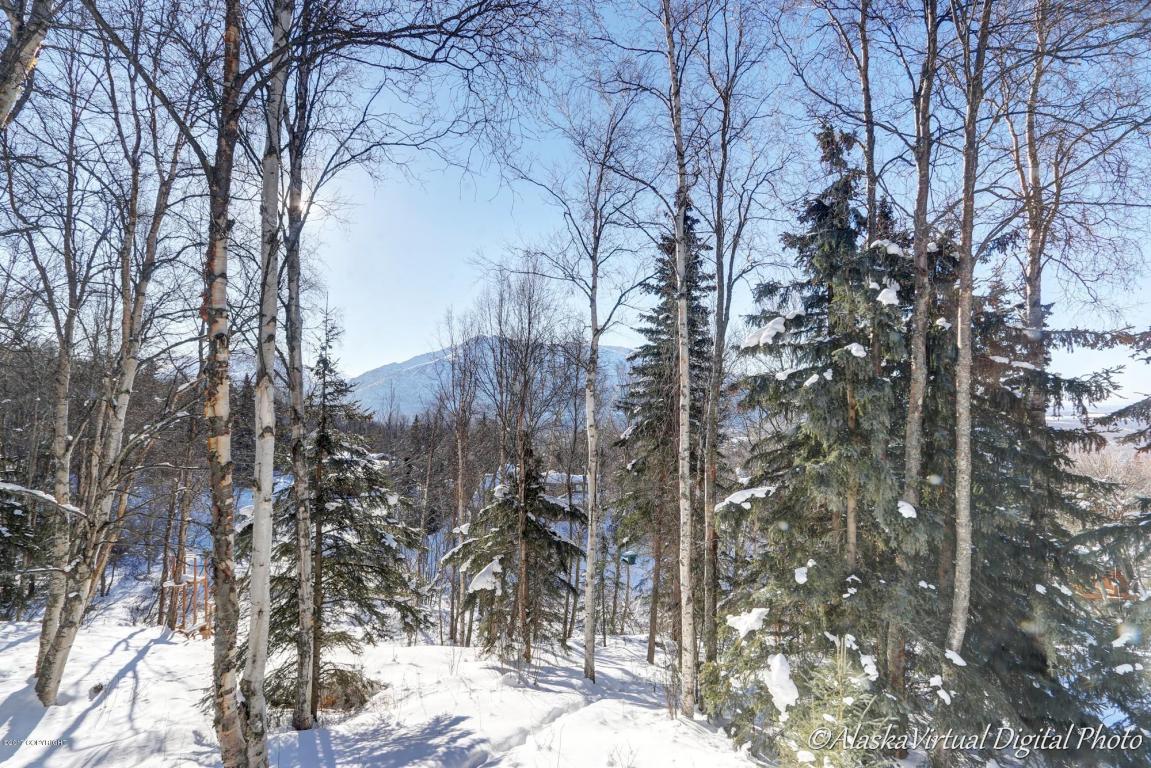 18888 Jamie Dr, Eagle River, AK 99577 photo 28