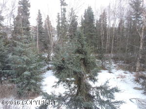 10159 Nantucket Loop, Anchorage, AK 99507 photo 13