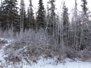 19035 Danny Dr, Eagle River, AK 99577 photo 9