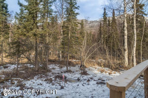 9119 Eagle River Ln, Eagle River, AK 99577 photo 35