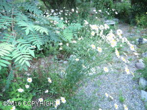 21408 Baron Dr, Chugiak, AK 99567 photo 17