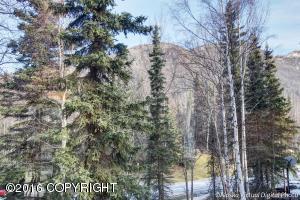 19810 Second St, Eagle River, AK 99577 photo 9