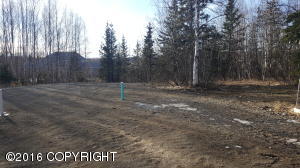 1900 N Patsy St, Wasilla, AK 99654 photo 25
