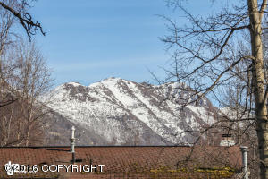 10307 Caribou St, Eagle River, AK 99577 photo 35