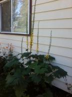 5933 E 22nd Ave, Anchorage, AK 99504 photo 37