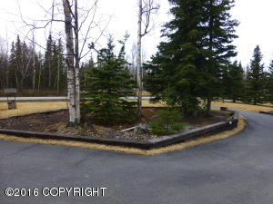 1124 N Leatherleaf Loop, Wasilla, AK 99654 photo 3