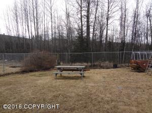 16918 Eleonora St, Eagle River, AK 99577 photo 15