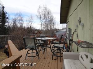 16918 Eleonora St, Eagle River, AK 99577 photo 17