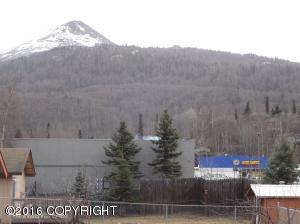 16918 Eleonora St, Eagle River, AK 99577 photo 20