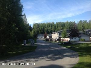 16672 W River Heights Loop # 40, Eagle River, AK 99577 photo 22