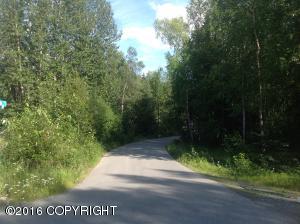 16672 W River Heights Loop # 40, Eagle River, AK 99577 photo 20