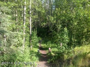 16672 W River Heights Loop # 40, Eagle River, AK 99577 photo 17