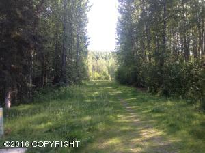 16672 W River Heights Loop # 40, Eagle River, AK 99577 photo 19