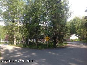 16672 W River Heights Loop # 40, Eagle River, AK 99577 photo 21