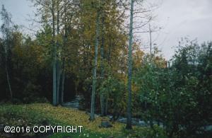 10946 Iditarod Cir, Eagle River, AK 99577 photo 43