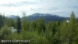 11635 W Skyline Dr, Eagle River, AK 99577 photo 2