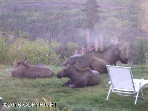 1135 Hiland Rd, Eagle River, AK 99577 photo 24