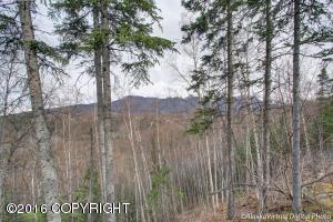 17423 Yellowstone Dr, Eagle River, AK 99577 photo 4