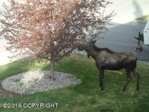 17423 Yellowstone Dr, Eagle River, AK 99577 photo 30