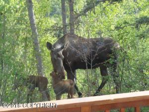 17423 Yellowstone Dr, Eagle River, AK 99577 photo 29